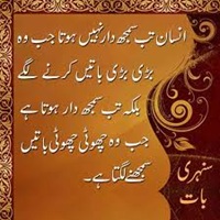 Insaan tab samghdar nahi hota jab woh bari bari batain karnay lagay balkay jab woh choti batain samghnay lagay